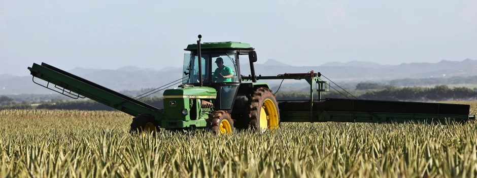 Grüner Traktor auf einem Feld bei der Ernte