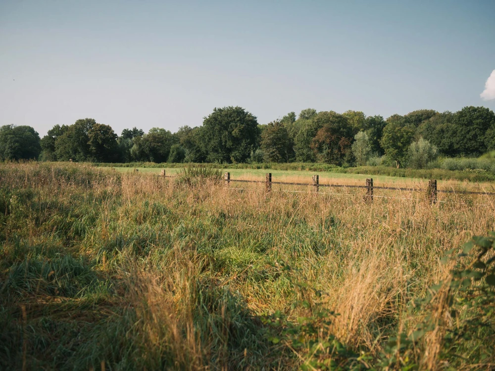 Weite Wiesenlandschaft mit einem alten Holzzaun und Bäumen im Hintergrund