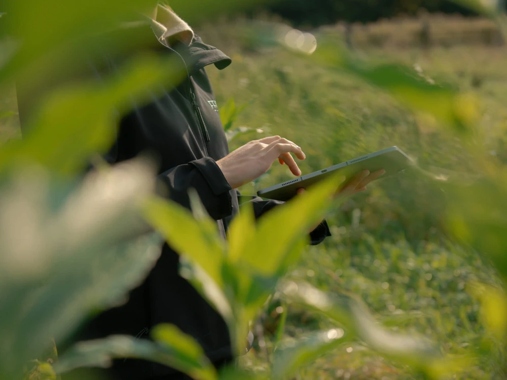 Person in schwarzer Jacke benutzt ein Tablet im Freien, teilweise verdeckt durch grüne Blätter