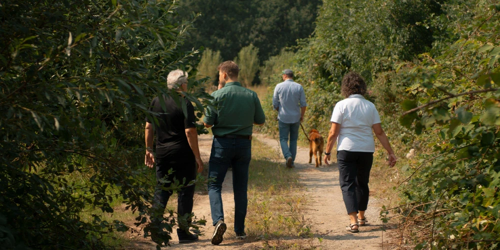Vier Erwachsene und ein Hund gehen gemeinsam einen Waldweg entlang – umgeben von dichtem Grün.
