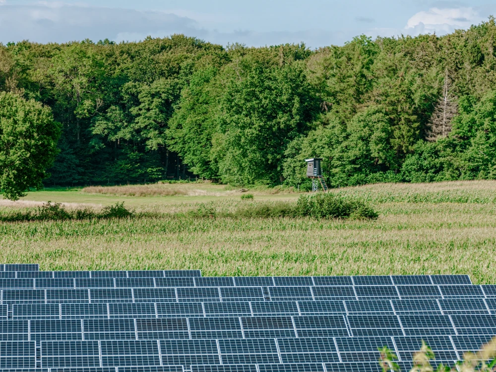 Solarpaneele im Vordergrund mit einem Blick auf ein Feld und einen dichten Wald im Hintergrund
