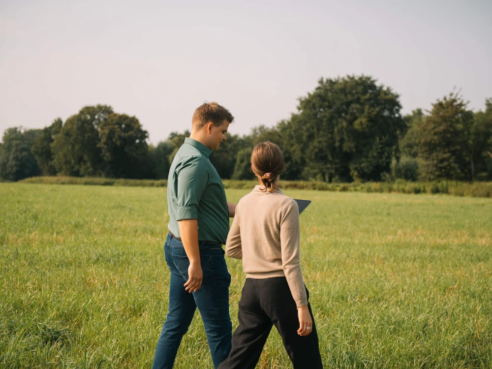 Two people walking hand in hand through a green field, viewed from behind