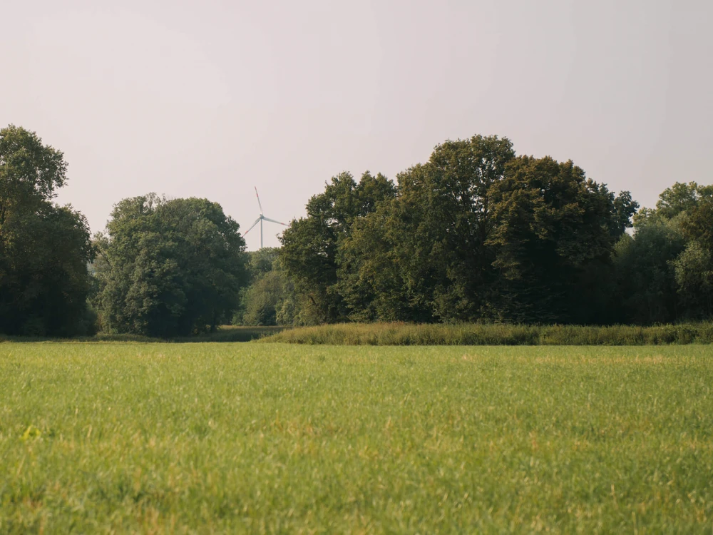 Grüne Wiese mit Bäumen im Hintergrund und einem Windrad in der Ferne
