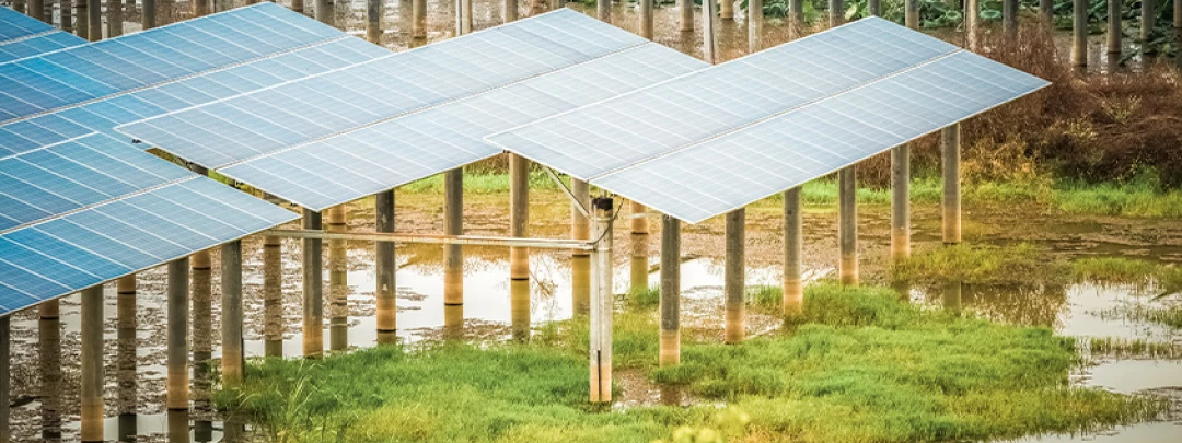 Photovoltaikanlage auf Stelzen über überschwemmtem Grasland
