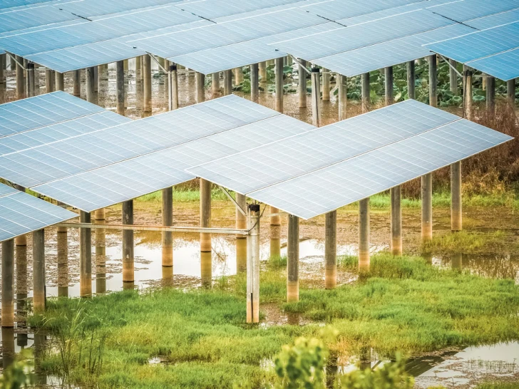 Solarpaneele montiert auf hohen Stützen über einem überschwemmten Grasland