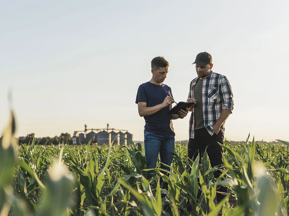 Two men looking at a tablet in a cornfield at sunset, with silos in the background