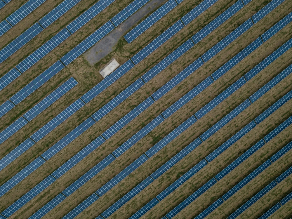 Luftaufnahme von zahlreichen Solarpanelen in parallelen Reihen auf einem Feld