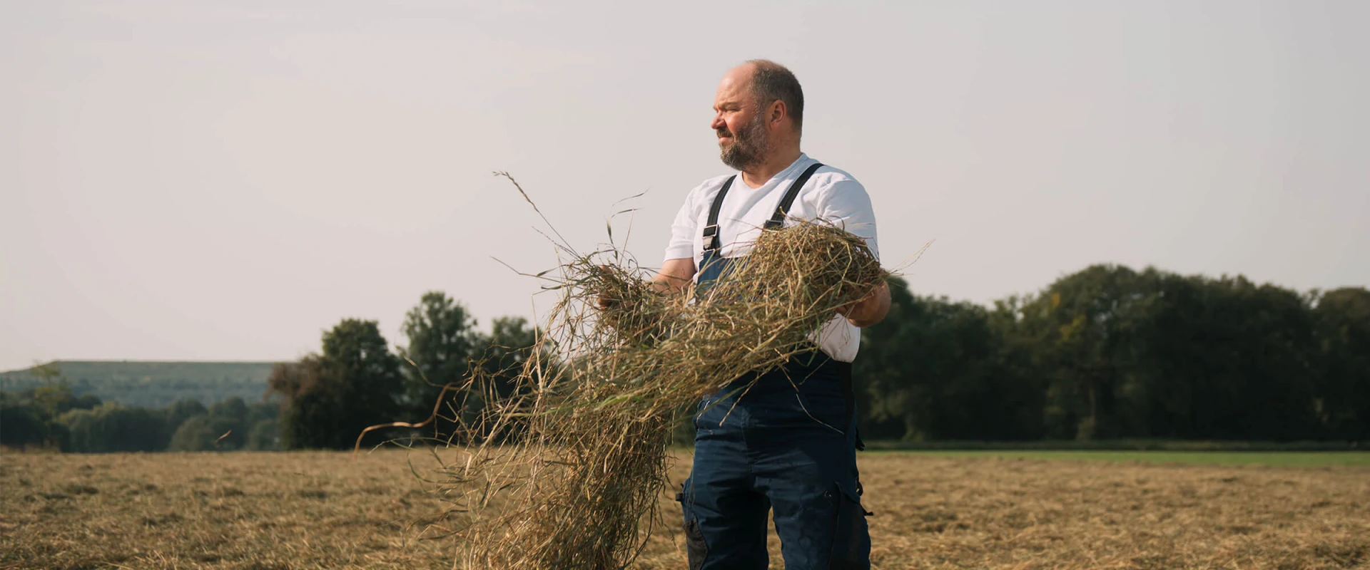 Ein bärtiger Mann in Latzhose hält Heu auf einem Feld