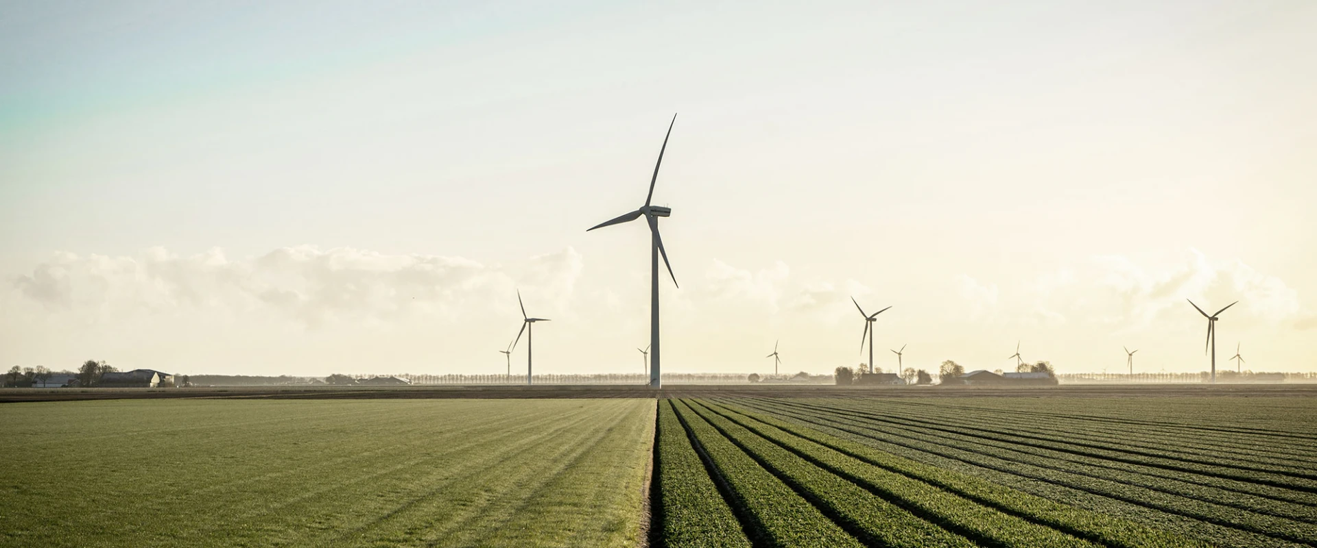Windräder auf einem offenen Feld bei Sonnenuntergang