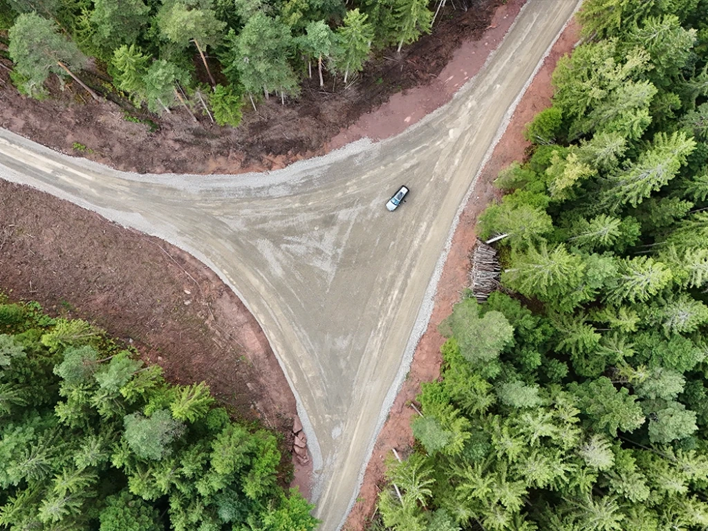 Kranstellfläche im Wald