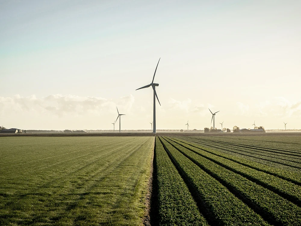 Windkraftanlagen in einem grünen Feld bei Sonnenaufgang, lange Schatten werfend