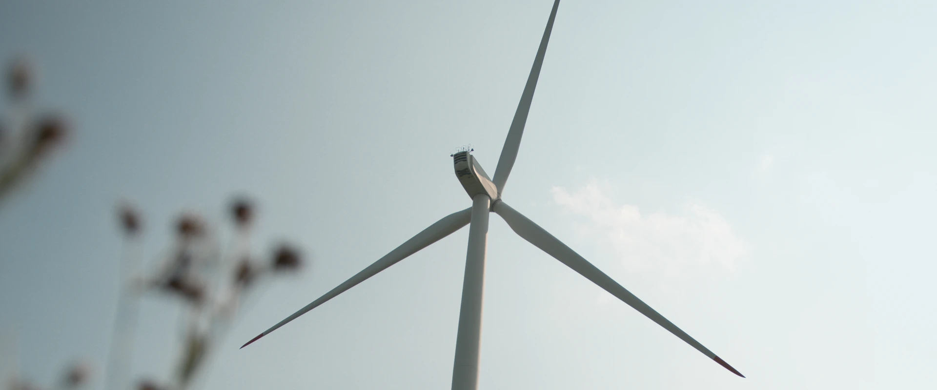 Windrad gesehen durch ein Feld von Wildblumen an einem sonnigen Tag